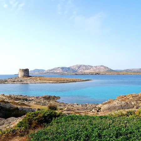 La Rosa - Elegant 사사리